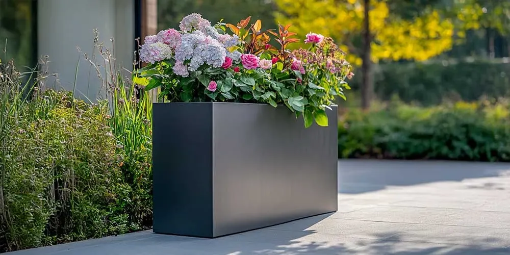 Elevate Your Space with Nature