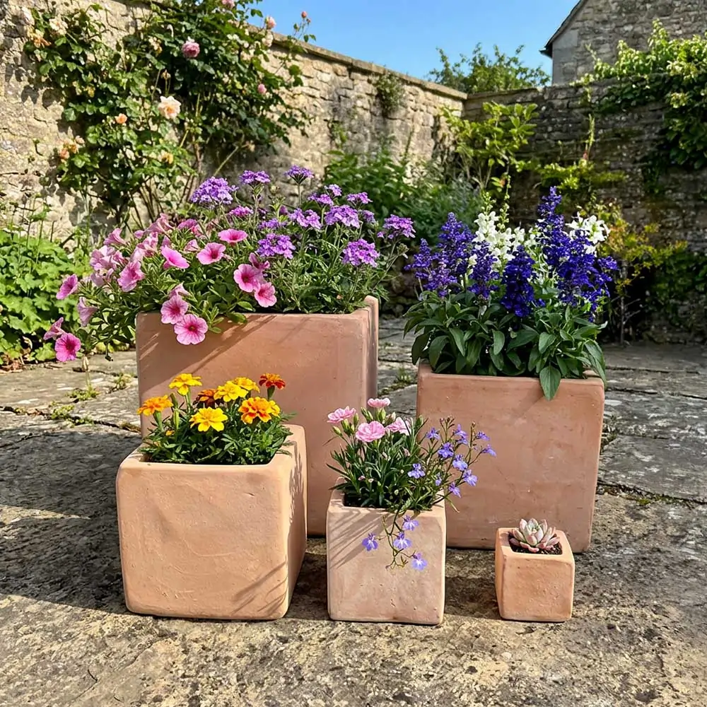 Thumbnail 48