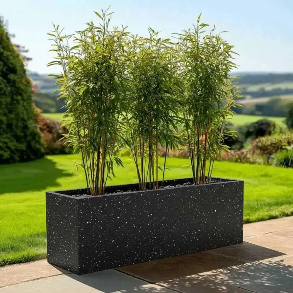 New and Limited Edition Planters
